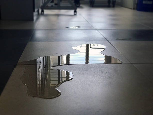 Best Water damage contractors near me  in Shields, MI