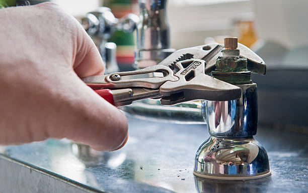 Best Water damage contractors near me  in Shields, MI