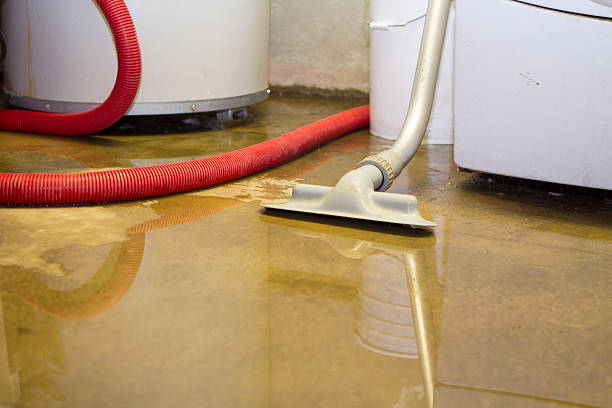 Best Commercial water damage restoration  in Shields, MI