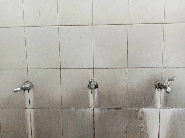 Best Ceiling water damage repair  in Shields, MI