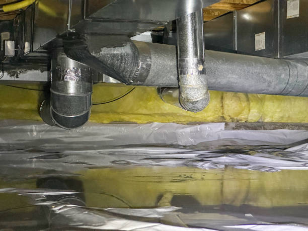 Best Sewage cleanup and water damage restoration  in Shields, MI