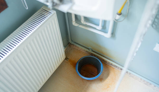 Best Flood restoration services  in Shields, MI