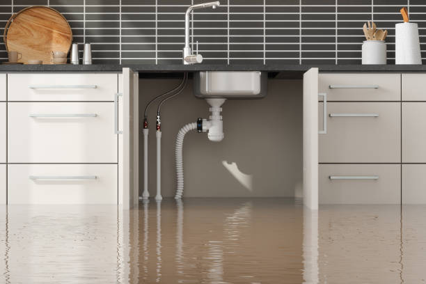 Best Emergency water damage restoration  in Shields, MI