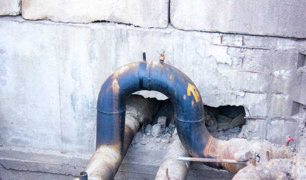 Best Flood damage cleanup  in Shields, MI