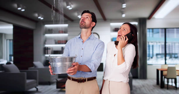 Best Flood damage cleanup  in Shields, MI
